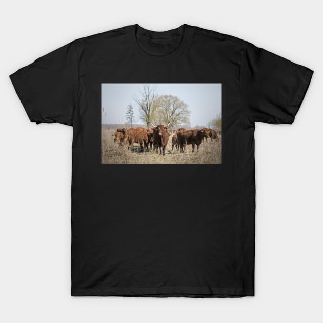 Bovine Animals T-Shirt by hton